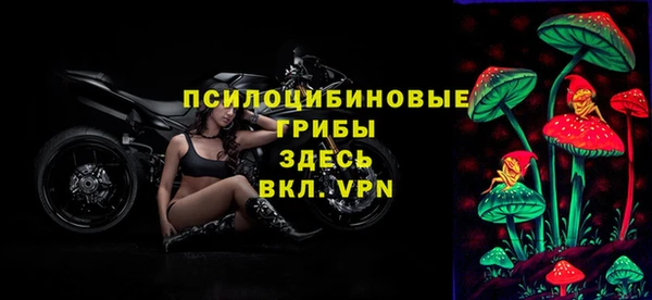 стаф Алзамай
