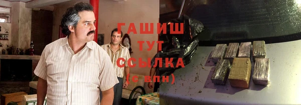 стаф Алзамай