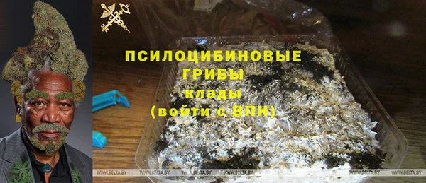 стаф Алзамай