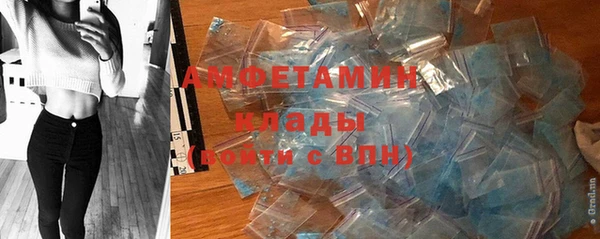стаф Алзамай